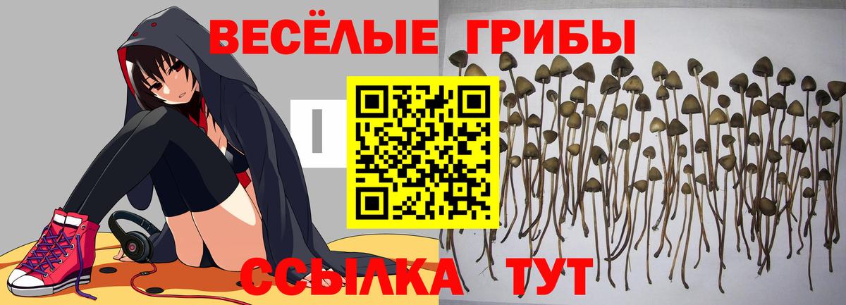 Калининград  Галлюциногенные грибы Magic Shrooms  Вход с VPN 